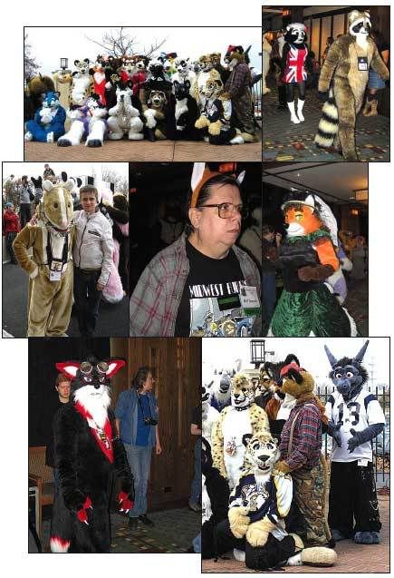 128_furries_montage.jpg