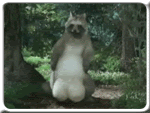 d2e7178a.gif
