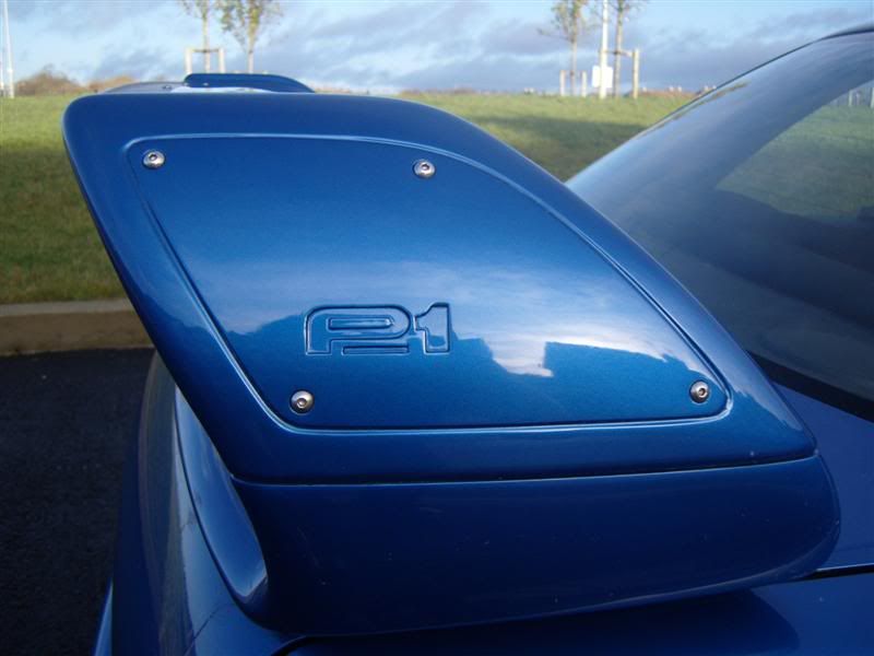 S1030581Medium.jpg