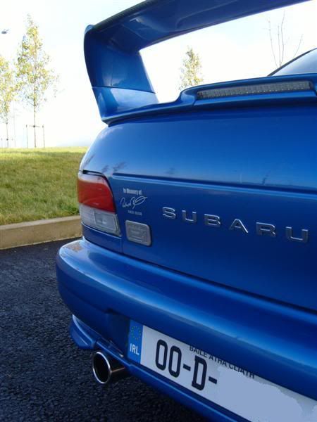 S1030593Medium.jpg