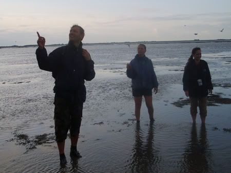 ameland10.jpg picture by kitty72