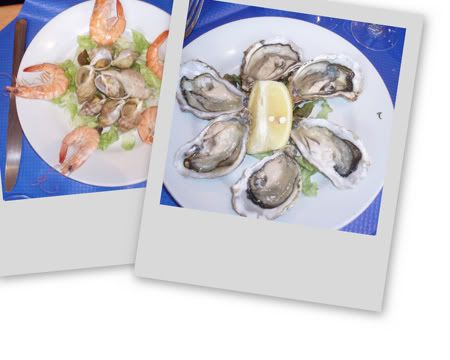 oesters.jpg picture by kitty72