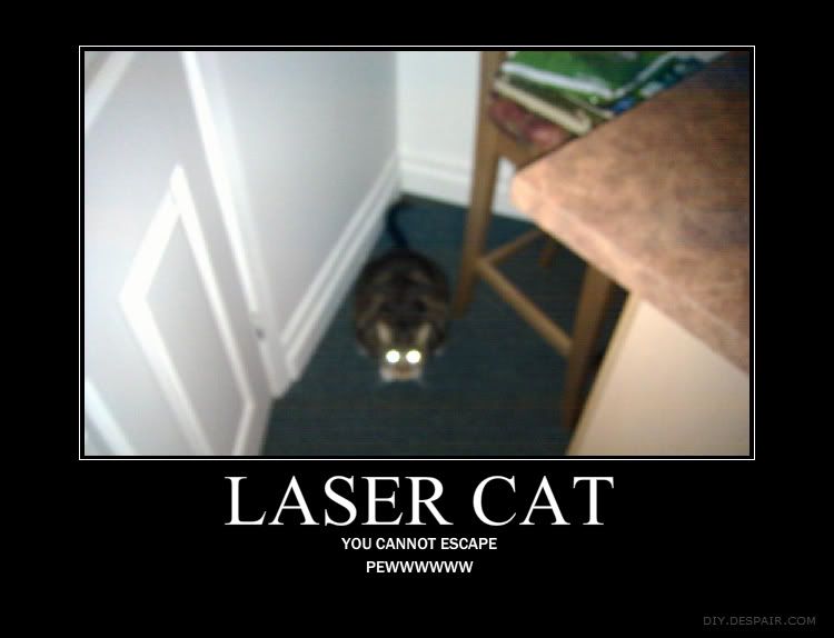 lasercat2.jpg