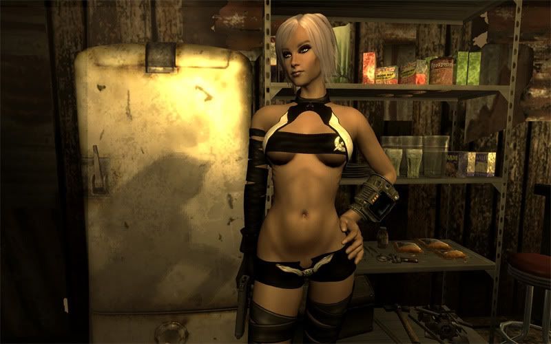 Fallout 3 Avatar Mod Persona