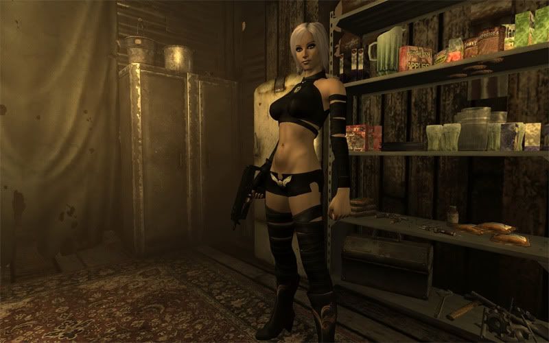 Fallout 3 Avatar Mod Persona