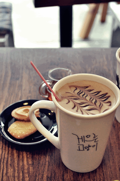 hongdae cafe seoul cat cute