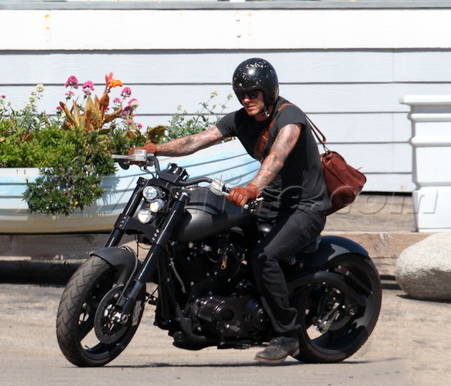 Beckham Motorbike on Wearing Helmets On A Motorcycle   Page 11   Sherdog Mixed Martial Arts