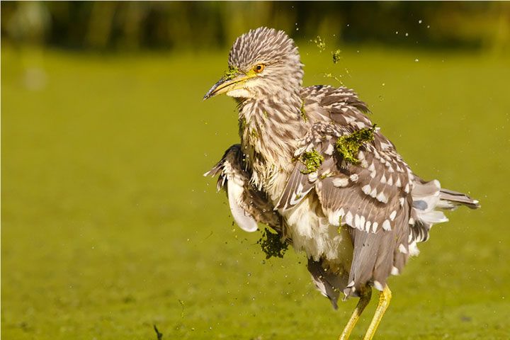  photo Roeselien-Raimond-2_zpsd7a95c4d.jpg