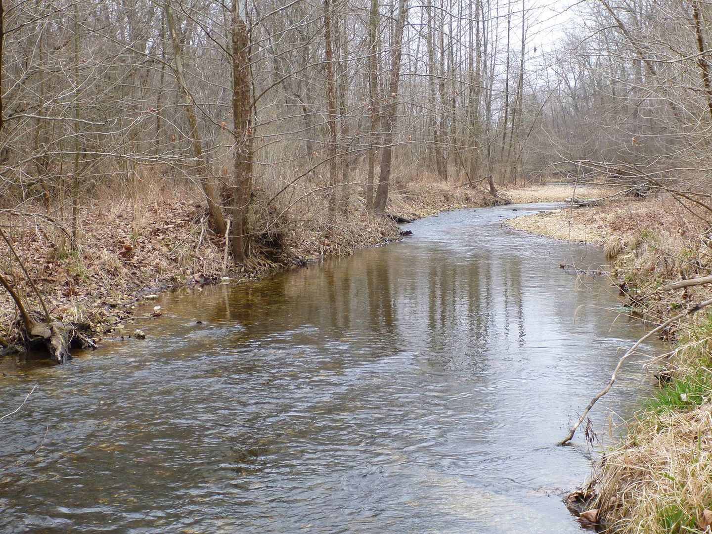 P1000026.jpg