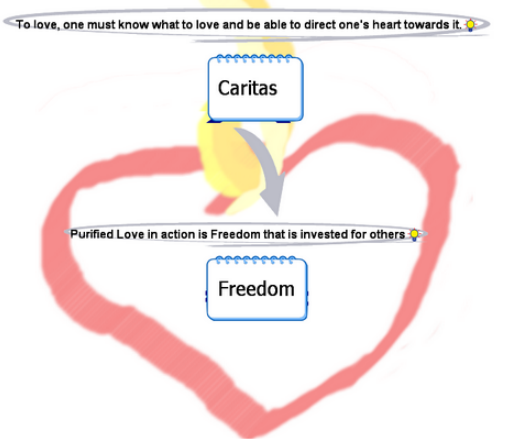 The Heart