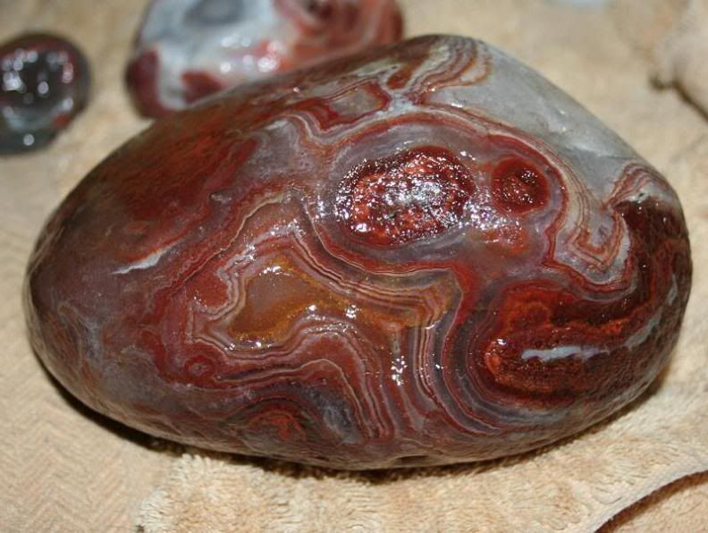 Minnesota+Agates+For+Sale Minnesota Agates For Sale http://www.hotspotoutdoors.com/forum ...