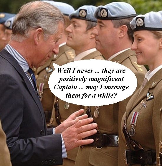 prince harry not charles son. prince charles alzheimer#39;s The
