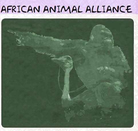 african animal alliance