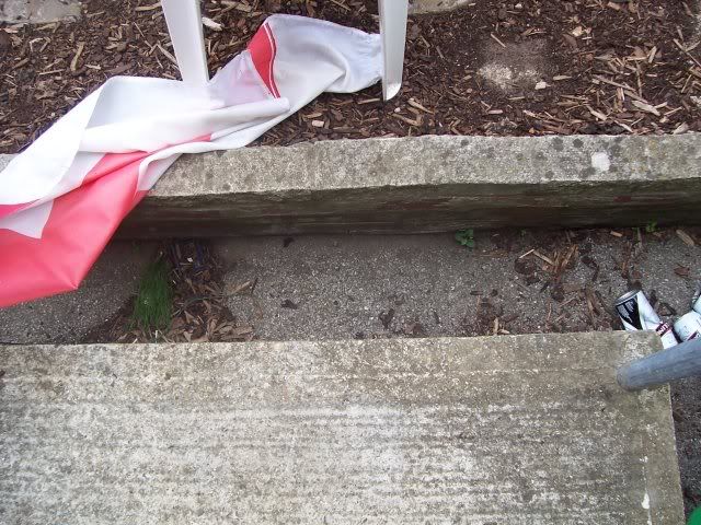 garden1.jpg