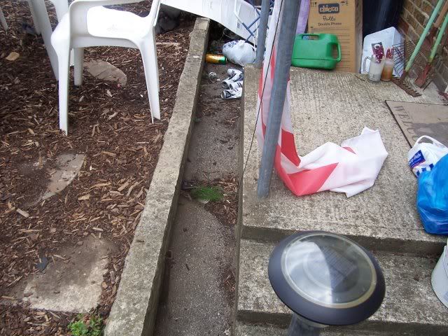 garden2.jpg