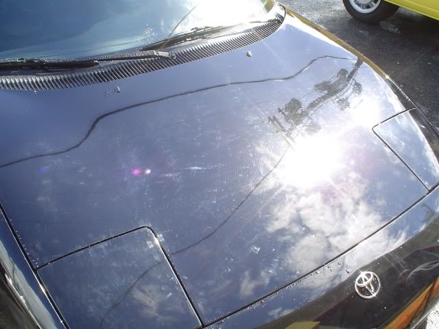 DSC03165.jpg