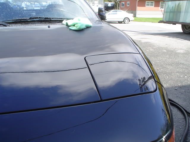 DSC03182.jpg