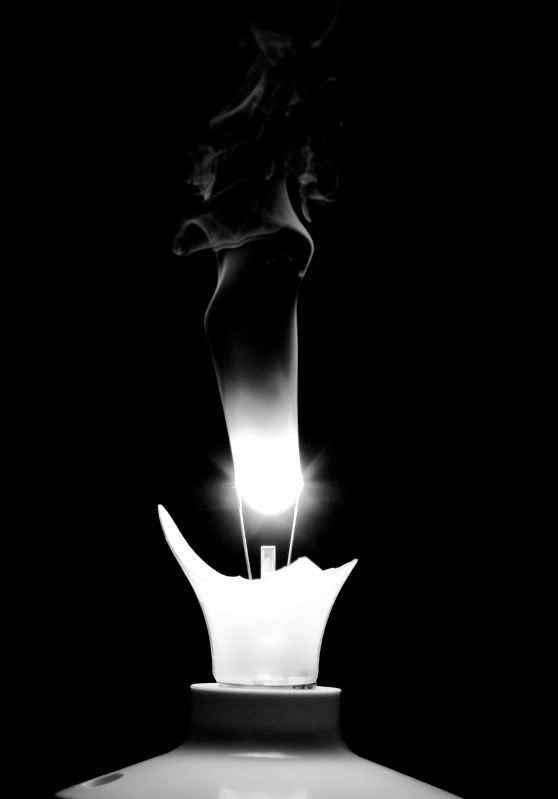 IMAGE: http://img.photobucket.com/albums/v89/Mooney/IMG_0374.jpg