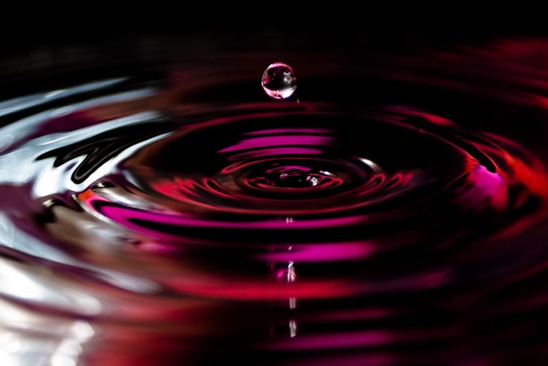 IMAGE: http://img.photobucket.com/albums/v89/Mooney/IMG_0415-1.jpg