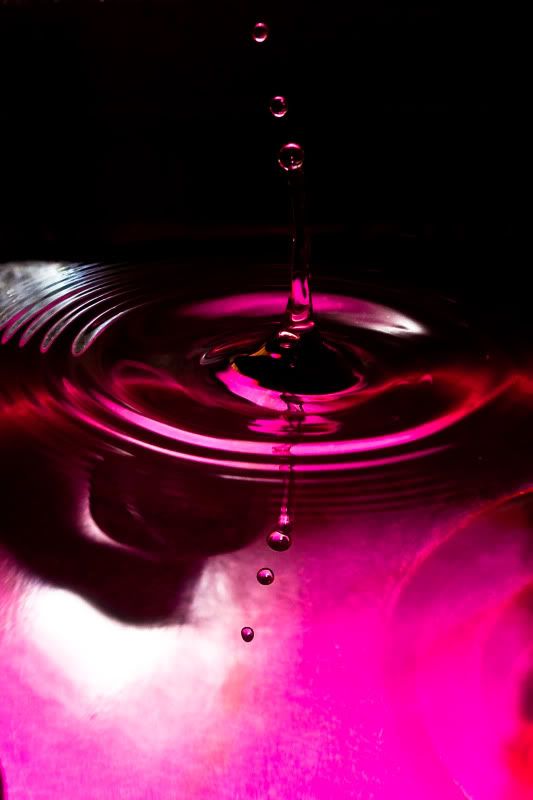 IMAGE: http://img.photobucket.com/albums/v89/Mooney/IMG_0440-2.jpg