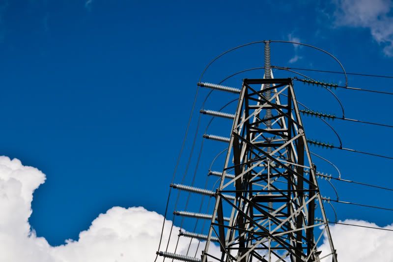 IMAGE: http://img.photobucket.com/albums/v89/Mooney/IMG_1124.jpg