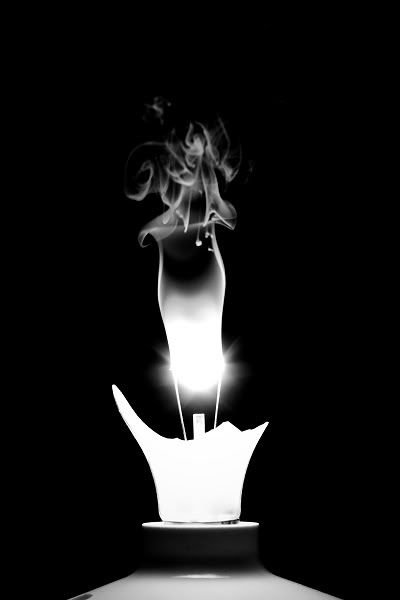 IMAGE: http://img.photobucket.com/albums/v89/Mooney/bulb.jpg