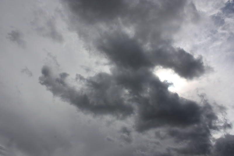 [img width=800 height=533]http://img.photobucket.com/albums/v89/TopSecret2001/IMG_0415.jpg[/img]