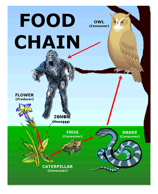 Ponky has made an excellent “Zombie Food Chain” diagram.
