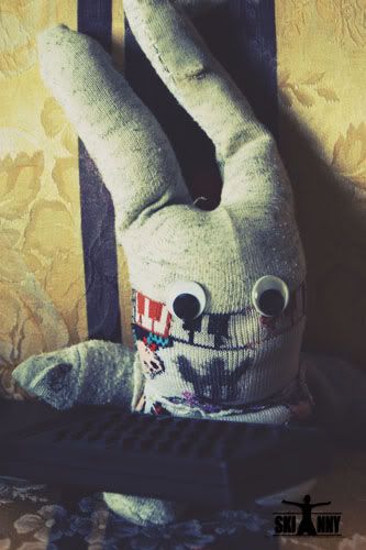 rabbit,grey