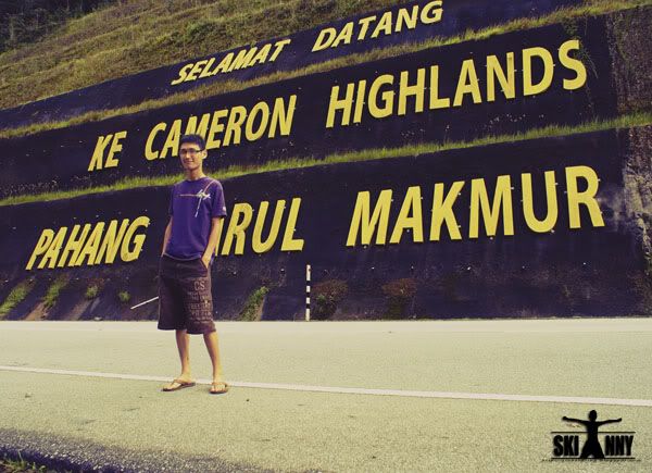 cameron highland
