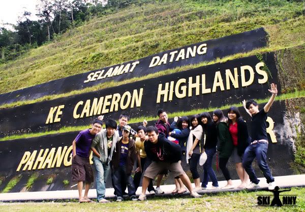 cameron highland