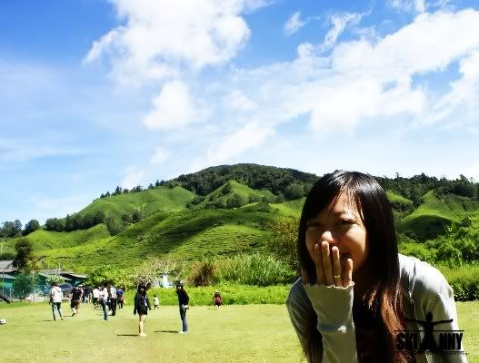 cameron highland