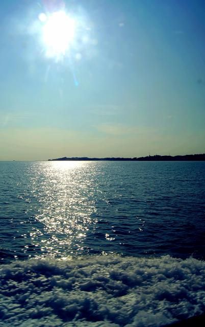  photo DSC00276-1.jpg