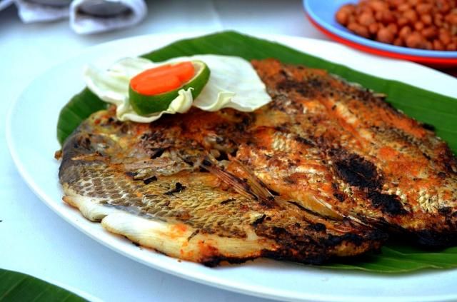  photo DSC_01051024x678.jpg