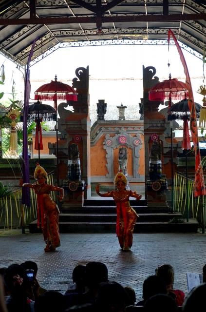  photo DSC_0142678x1024.jpg