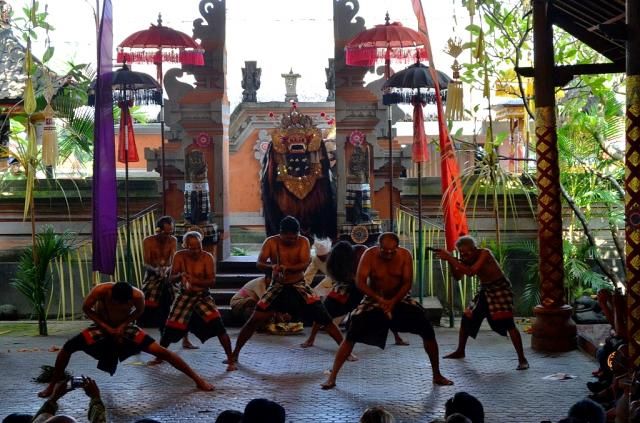  photo DSC_01501024x678.jpg