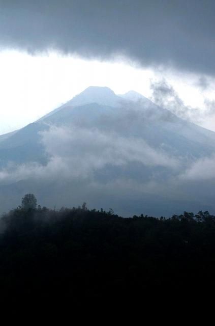  photo DSC_0186678x1024.jpg