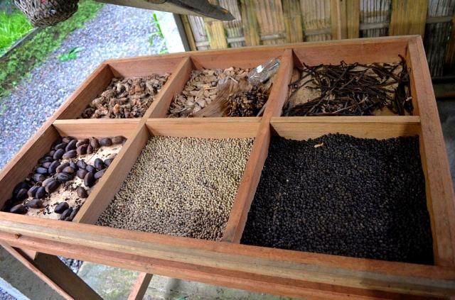  photo DSC_02031024x678.jpg