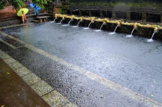  photo DSC_02261024x678.jpg