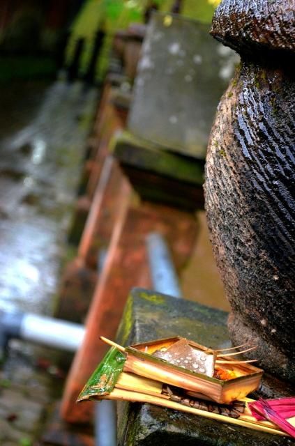  photo DSC_0255678x1024.jpg