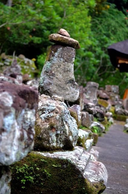  photo DSC_0273678x1024.jpg