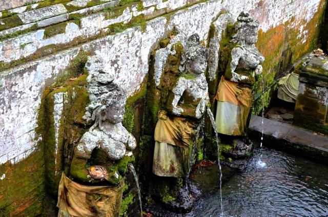  photo DSC_02951024x678.jpg