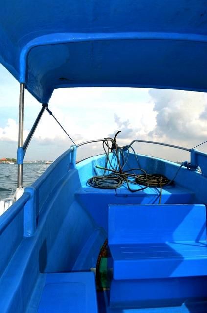  photo DSC_0340678x1024.jpg