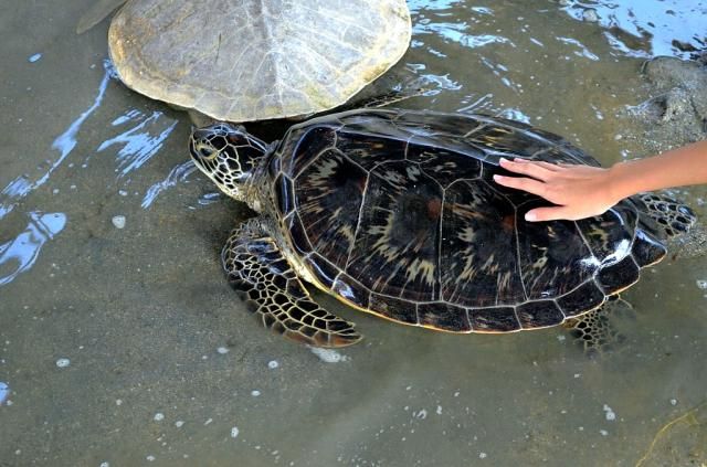  photo DSC_03521024x678.jpg