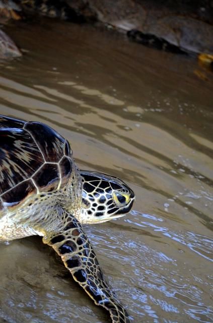  photo DSC_03861024x678.jpg