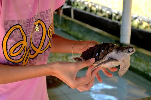  photo DSC_03901024x678.jpg