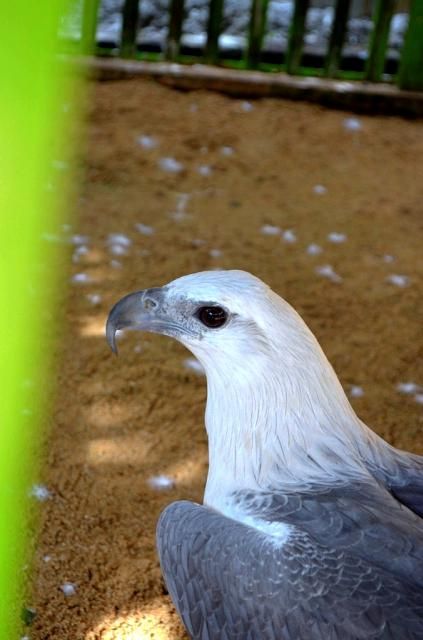  photo DSC_0400678x1024.jpg