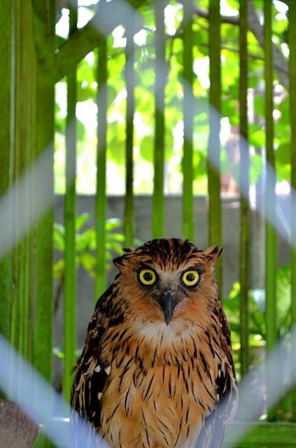  photo DSC_0405678x1024.jpg