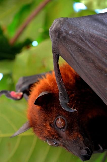  photo DSC_0418678x1024.jpg