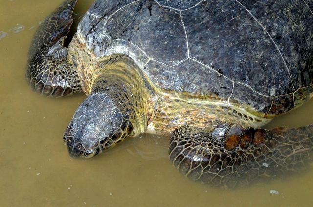  photo DSC_04401024x678.jpg